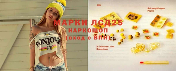 PSILOCYBIN Богородицк
