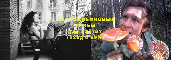 PSILOCYBIN Богородицк