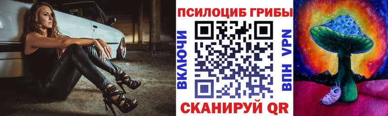 Купить закладки  Обнинск  Галлюциногенные грибы Psilocybine cubensis 